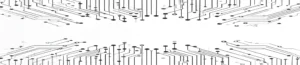 cPanel | Essex Web Hosts
