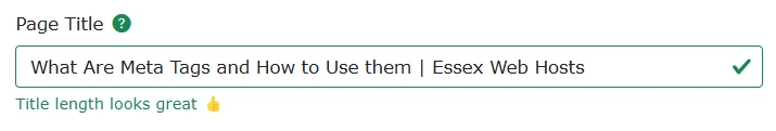 Screenshot showing meta tag generator tool step 2 form