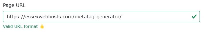Screenshot showing meta tag generator tool step 5 form